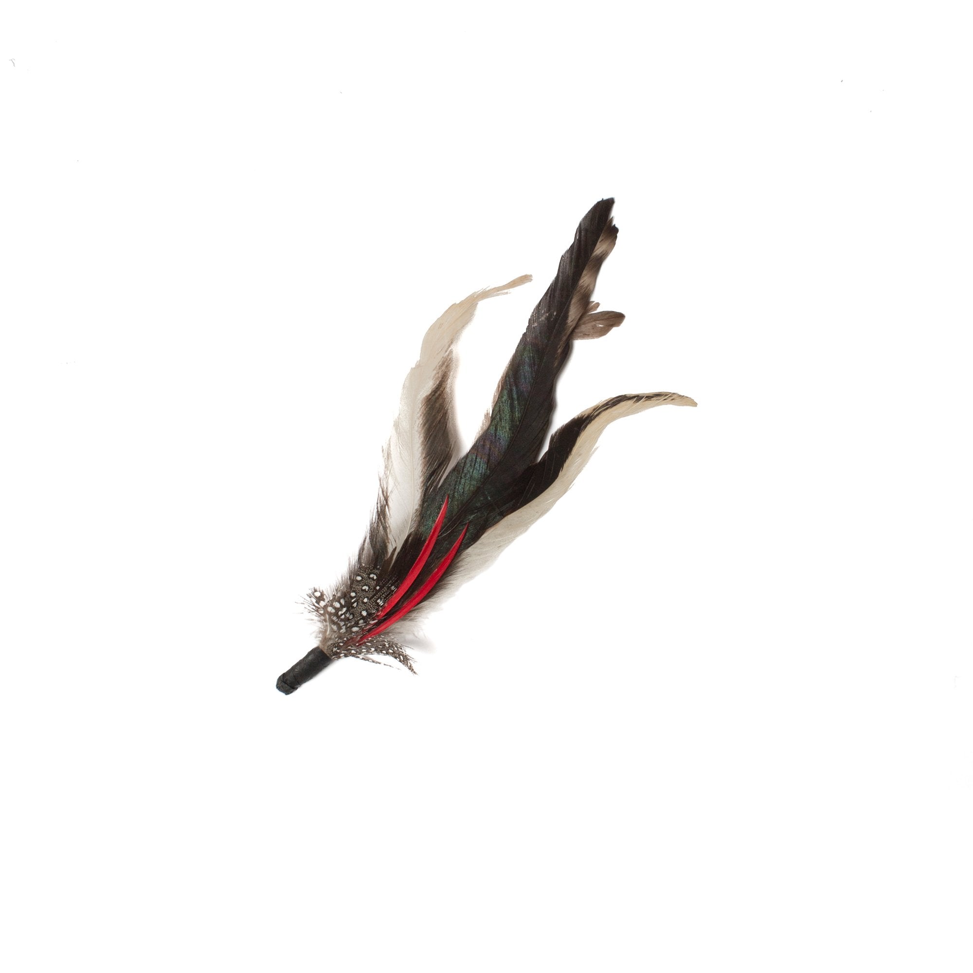 Goorin Bros. tucan dan feather Brown front view