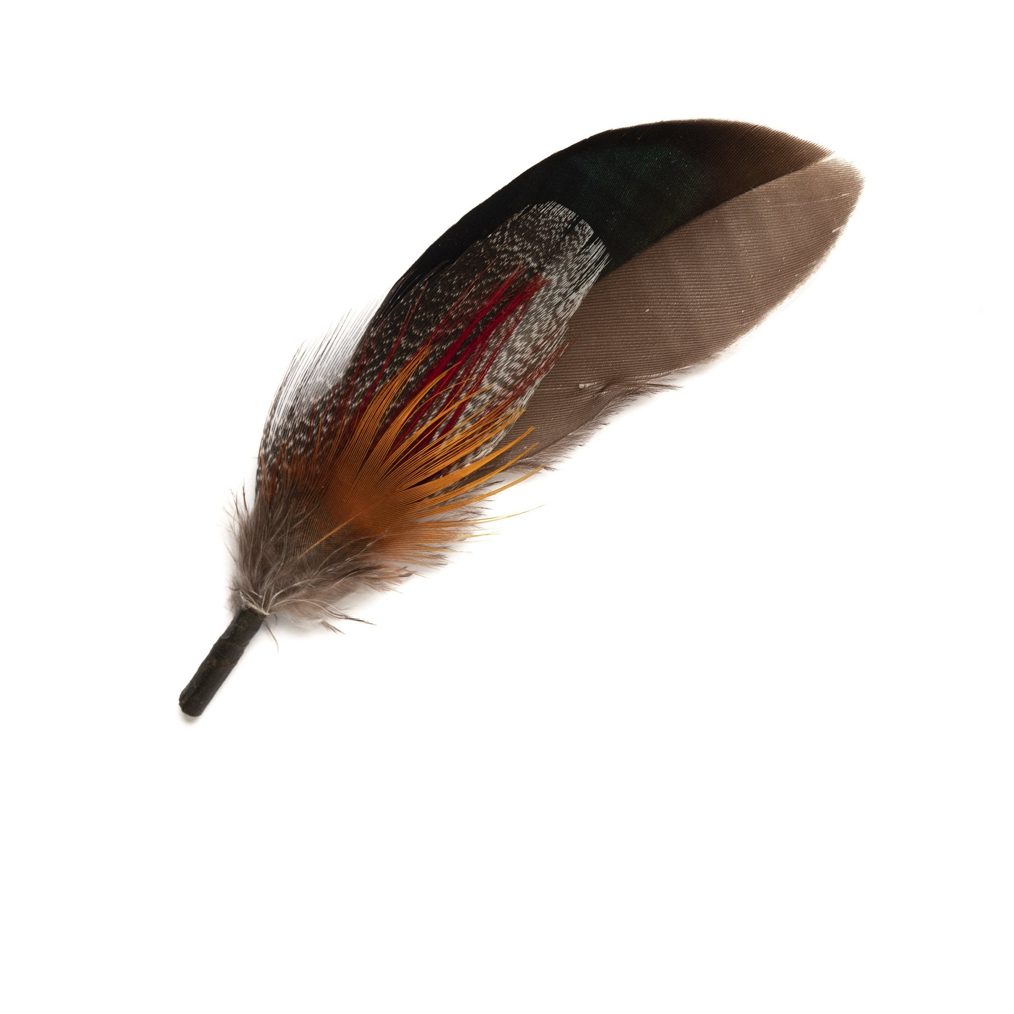 Goorin Bros. axel feather Brown front view