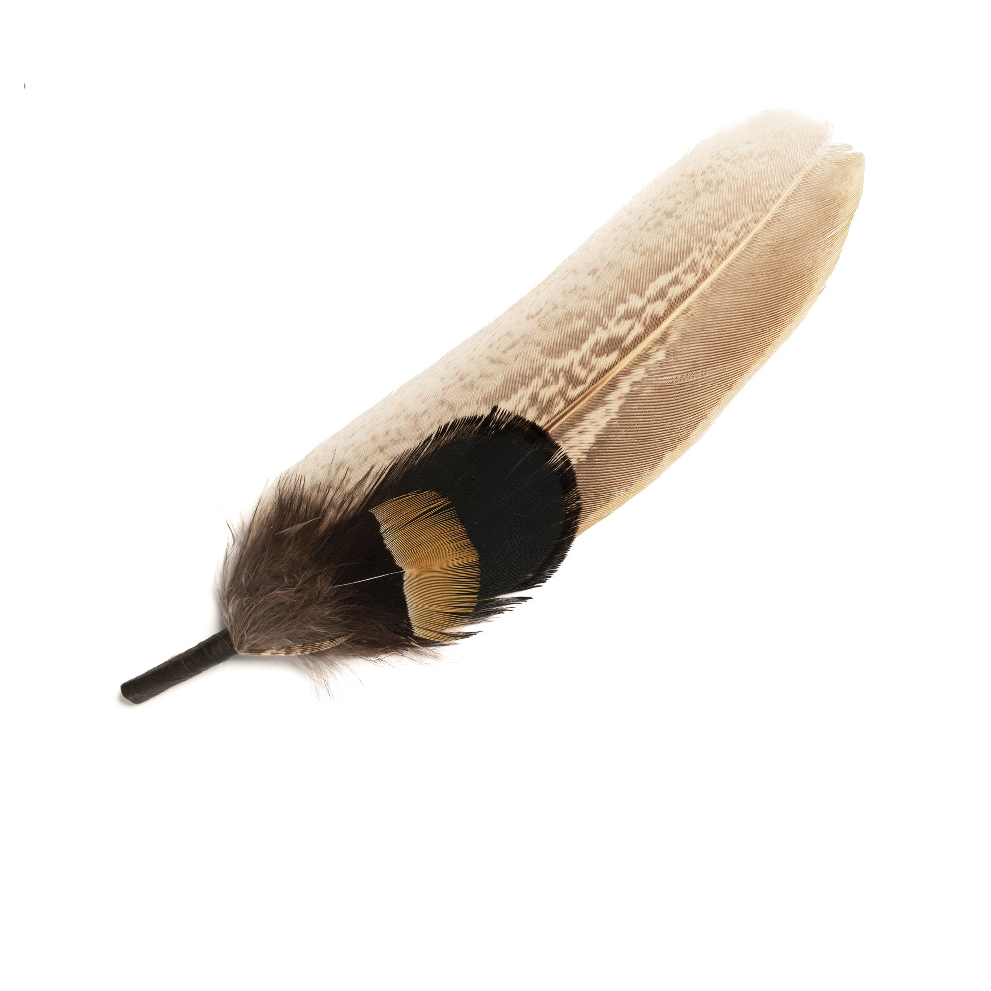 Goorin Bros. pumpkin feather Brown front view