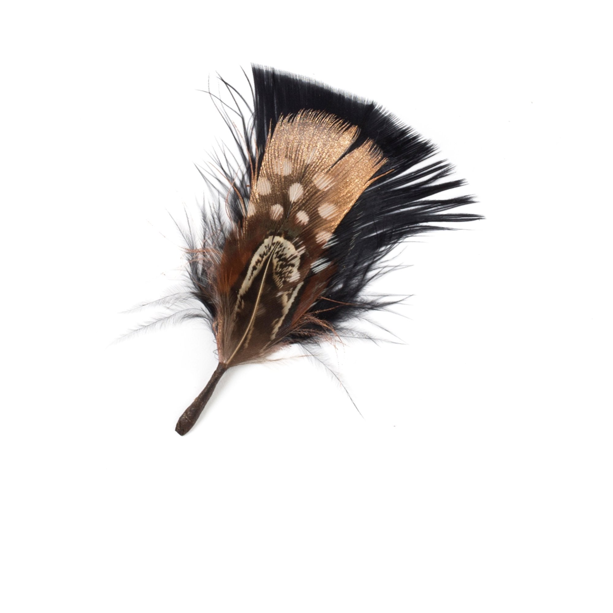 Goorin Bros. glitz glam feather Black front view