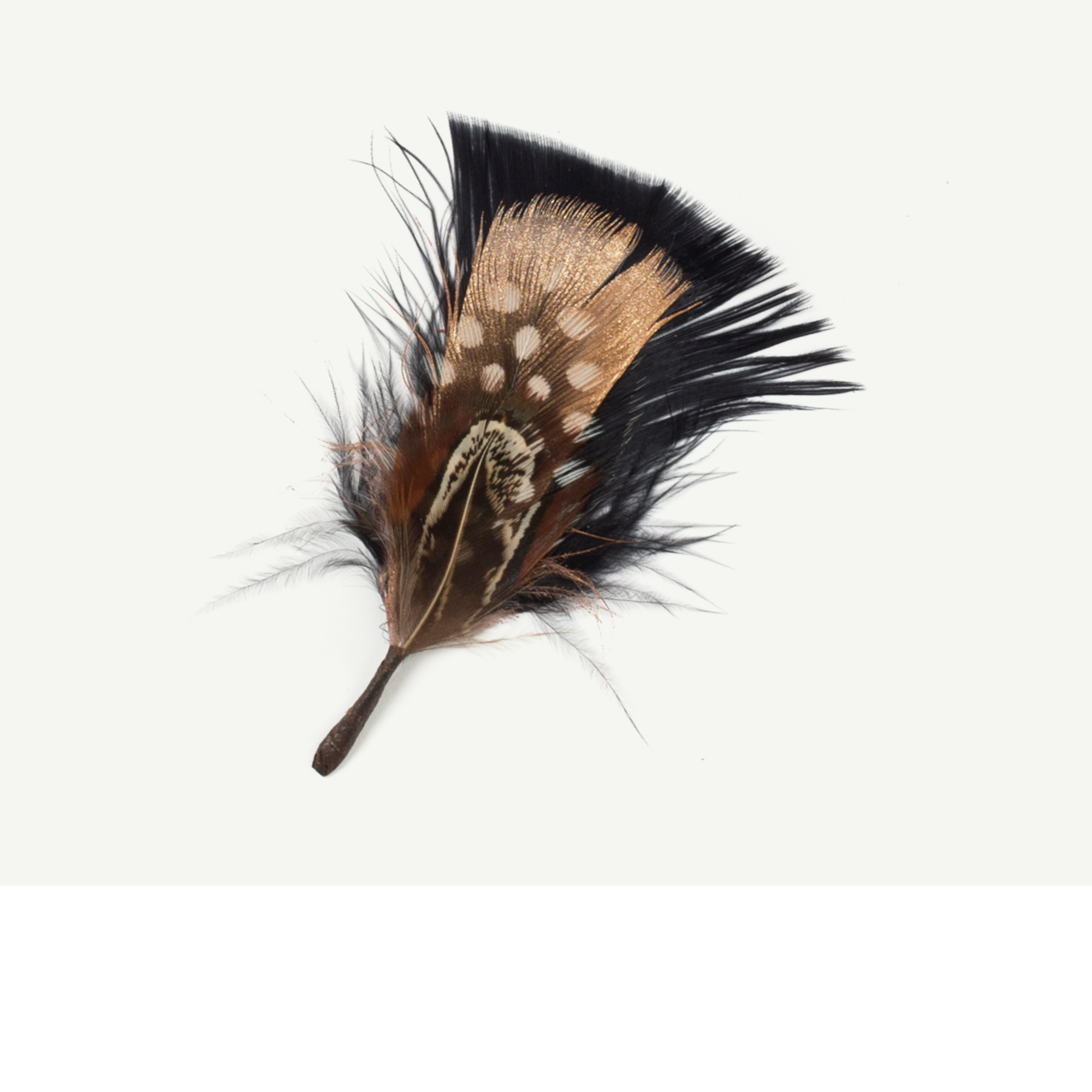 Goorin Bros. Glitz & Glam Black Feather front view