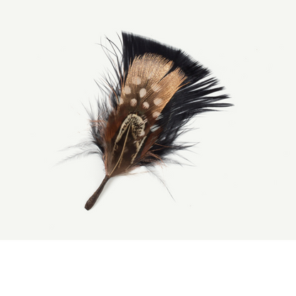 Goorin Bros. Glitz & Glam Black Feather front view