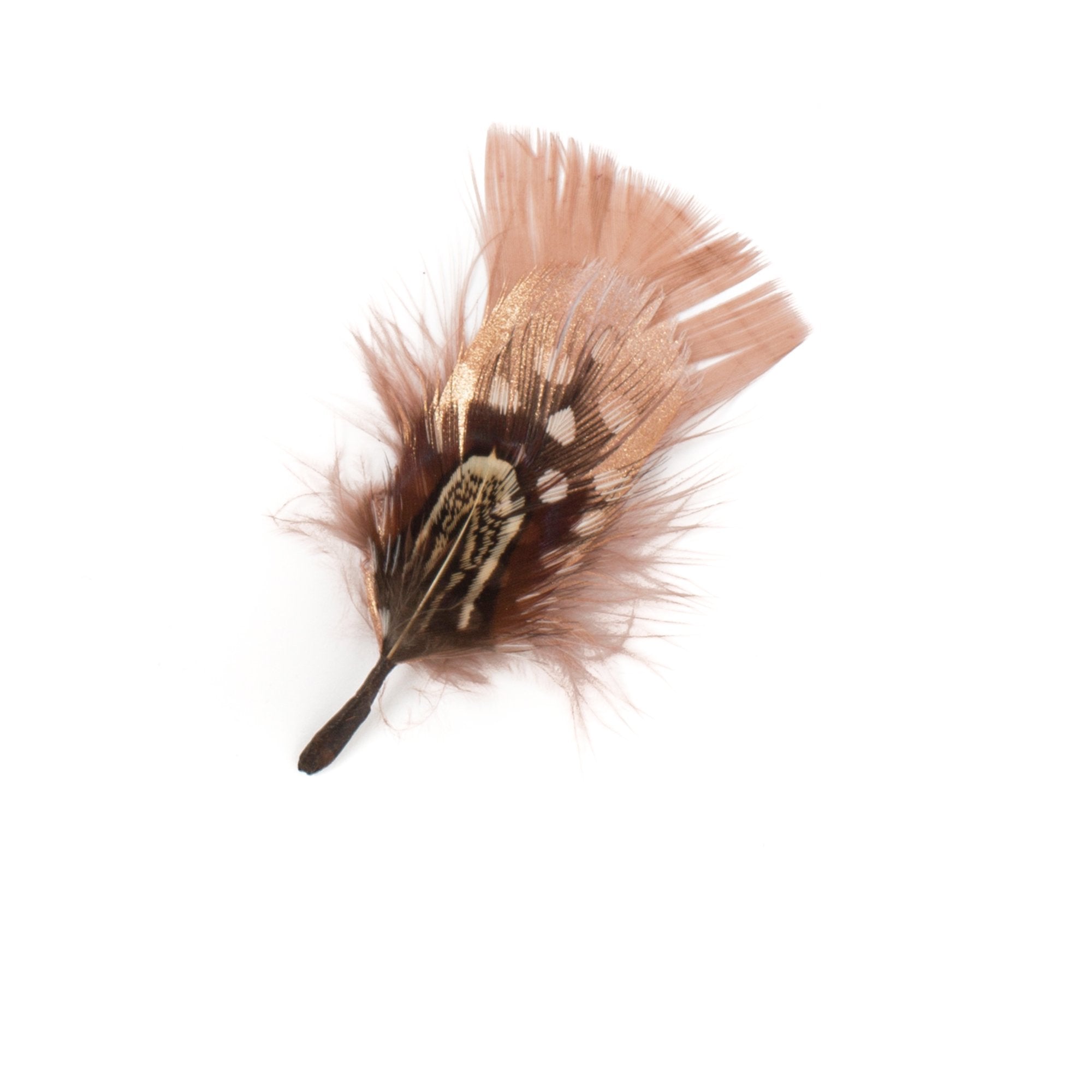 Goorin Bros. glitz glam feather Brown front view