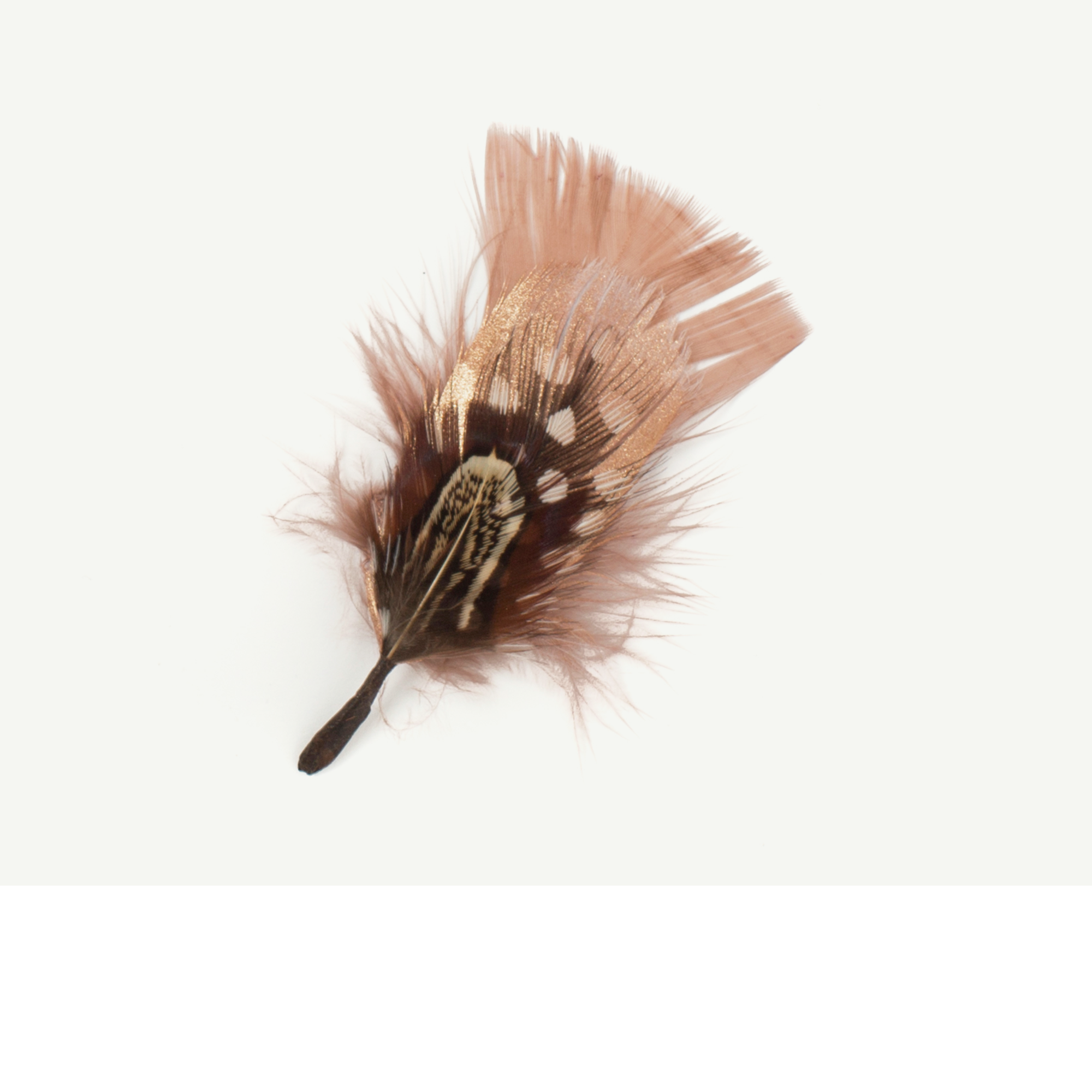Goorin Bros. Glitz & Glam Brown Feather front view
