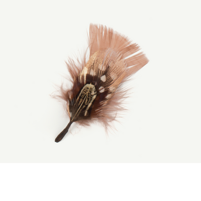Goorin Bros. Glitz & Glam Brown Feather front view