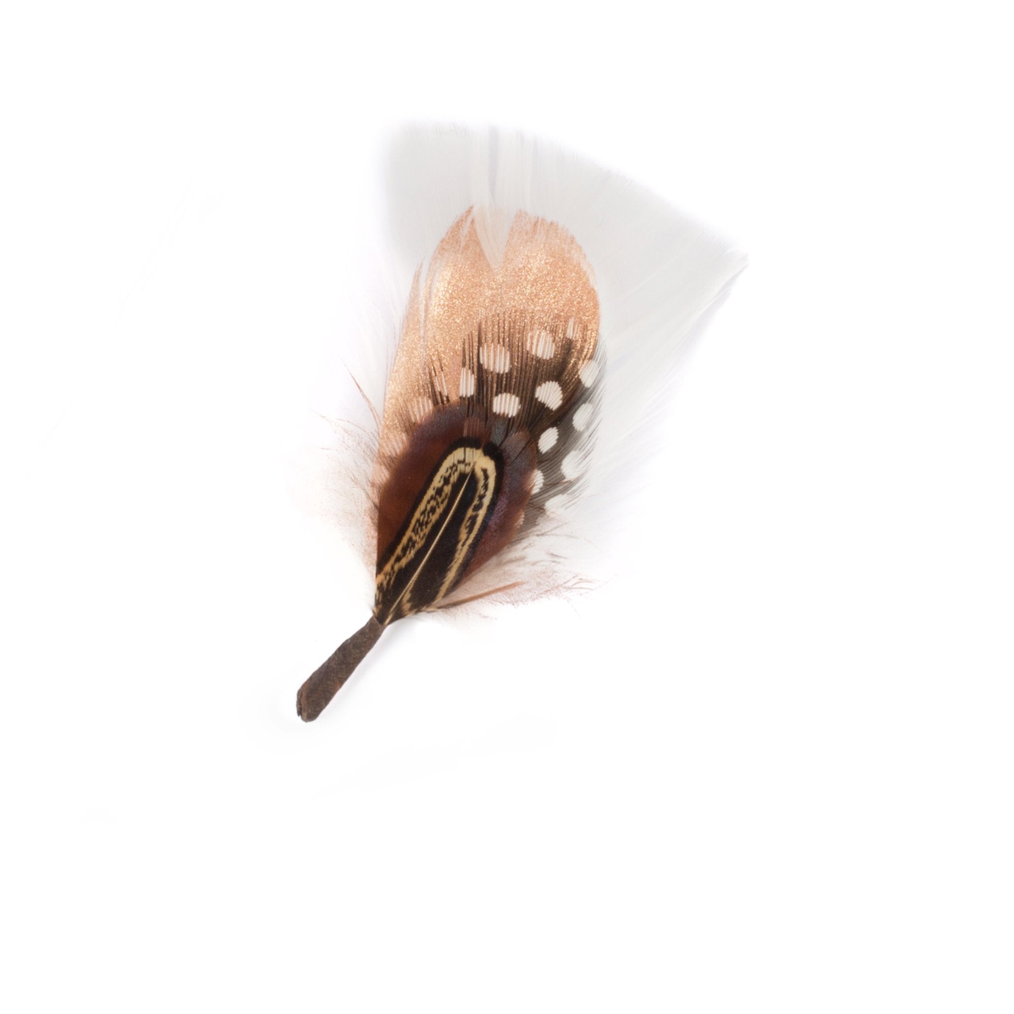 Goorin Bros. glitz glam feather White front view