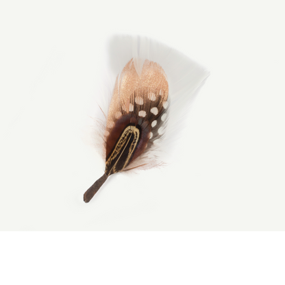 Goorin Bros. Glitz & Glam White Feather front view