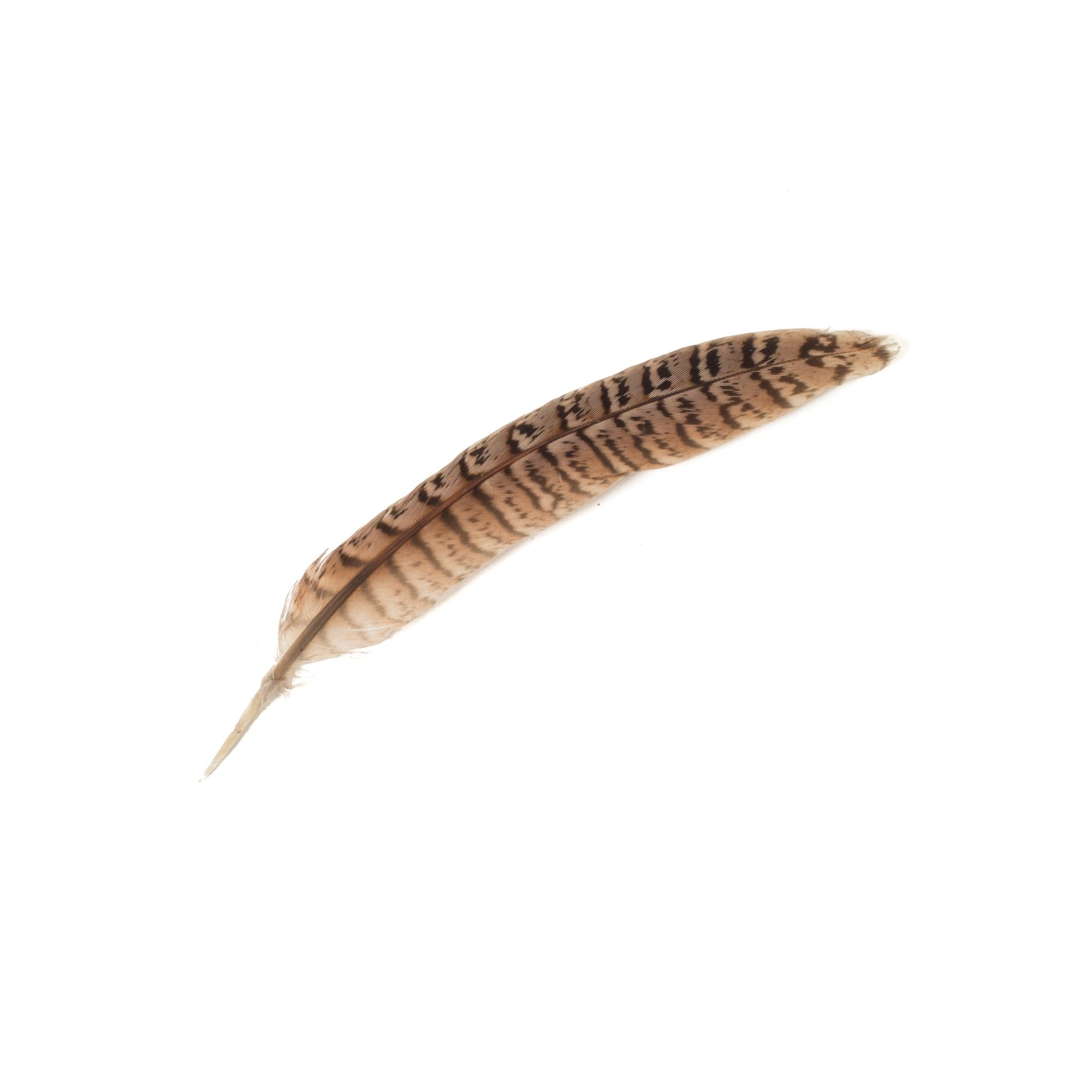 Goorin Bros. bobo feather Brown front view