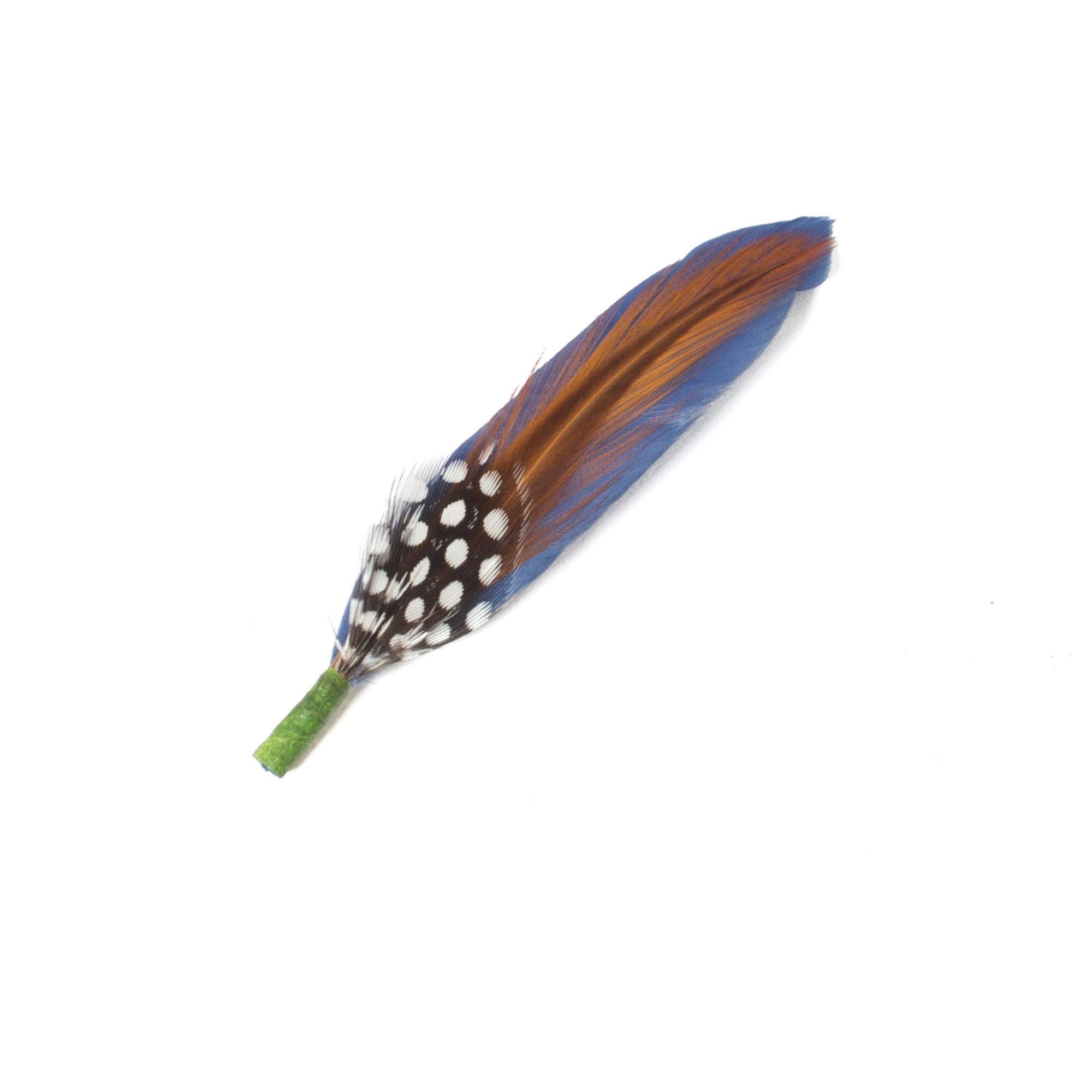 Goorin Bros. calypso feather Slate front view