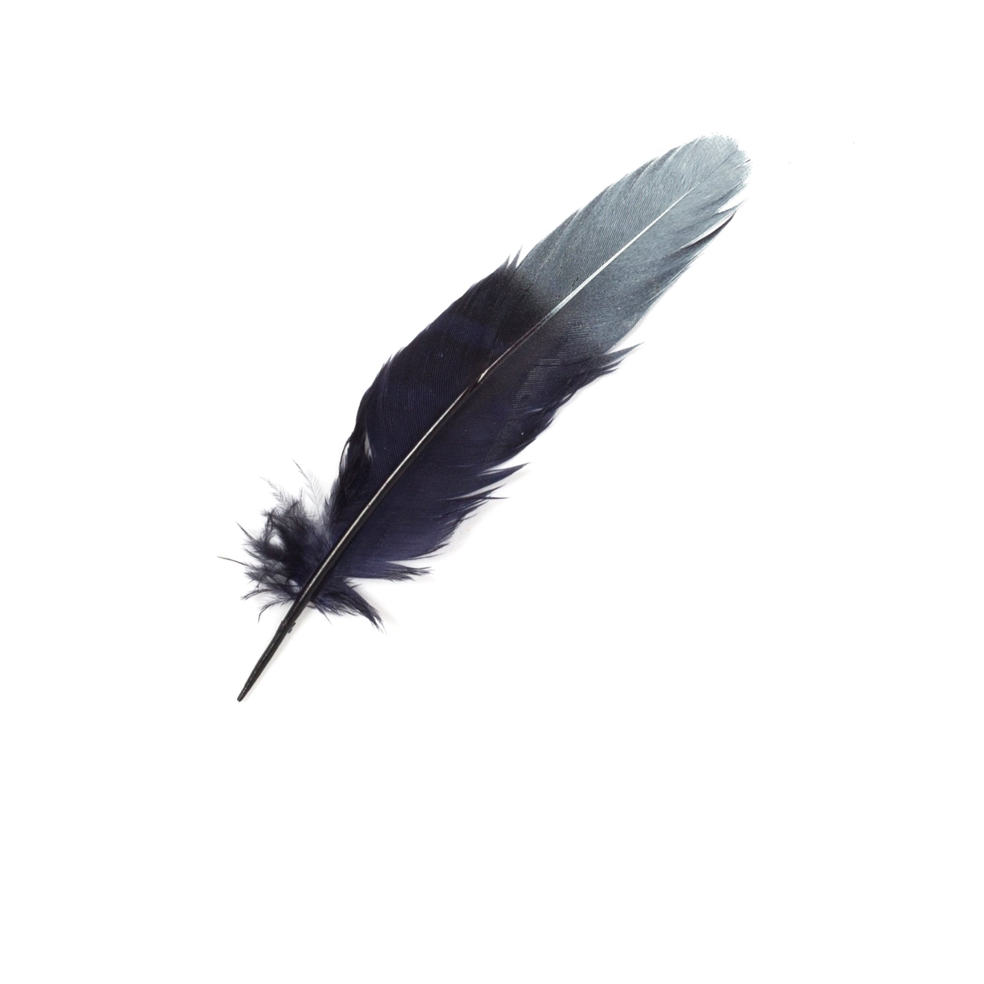 Goorin Bros. size matters feather Navy front view