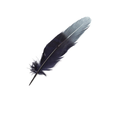 Goorin Bros. size matters feather Navy front view