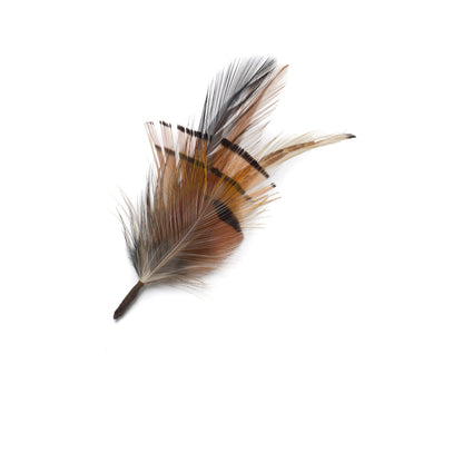 Goorin Bros. blinky feather Brown front view