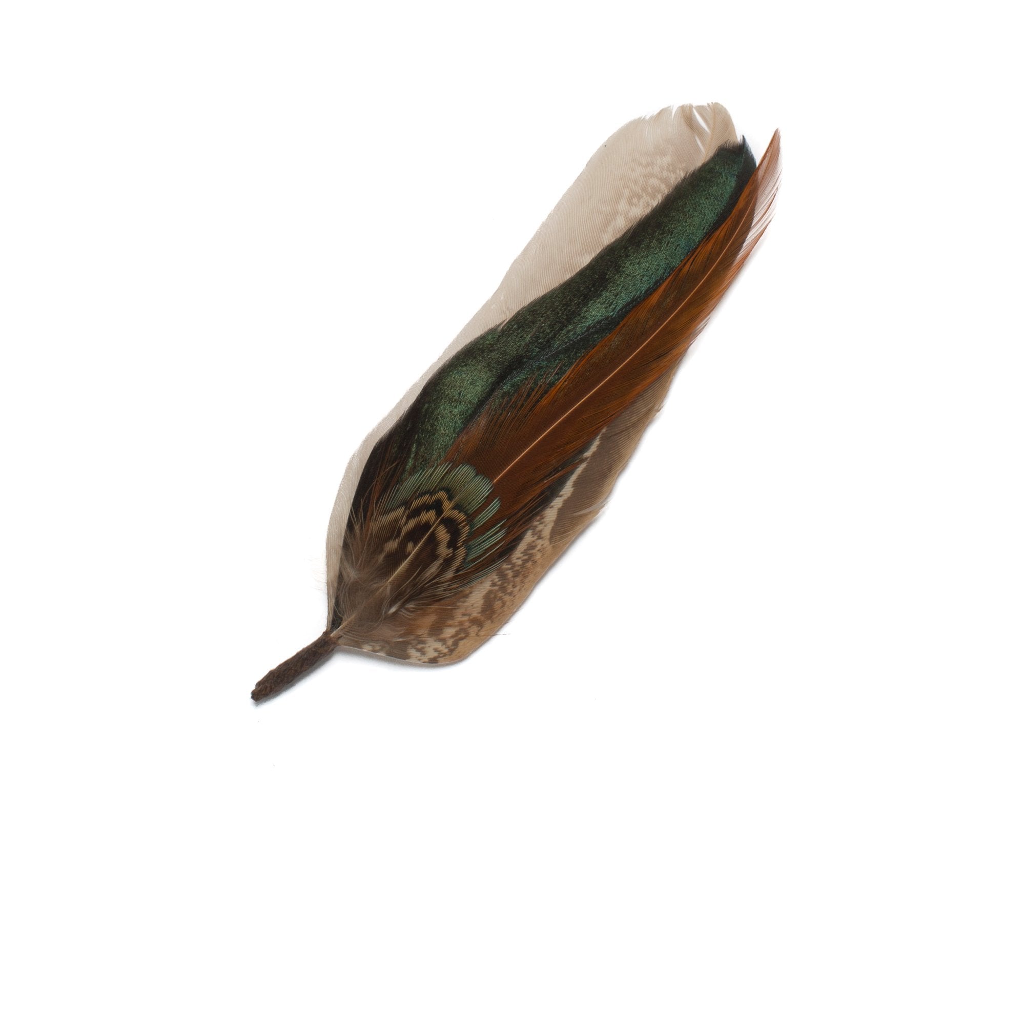 Goorin Bros. bonbon feather Brown front view