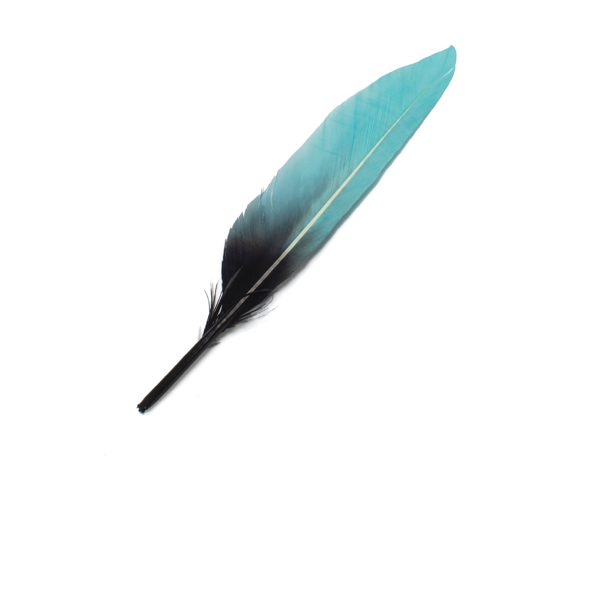 Goorin Bros. bluella feather Blue front view