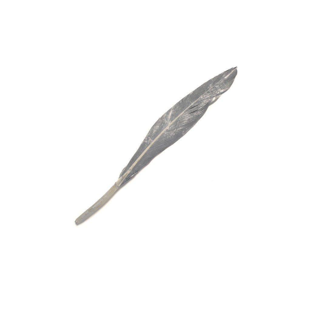 Goorin Bros. hermes feather Silver front view