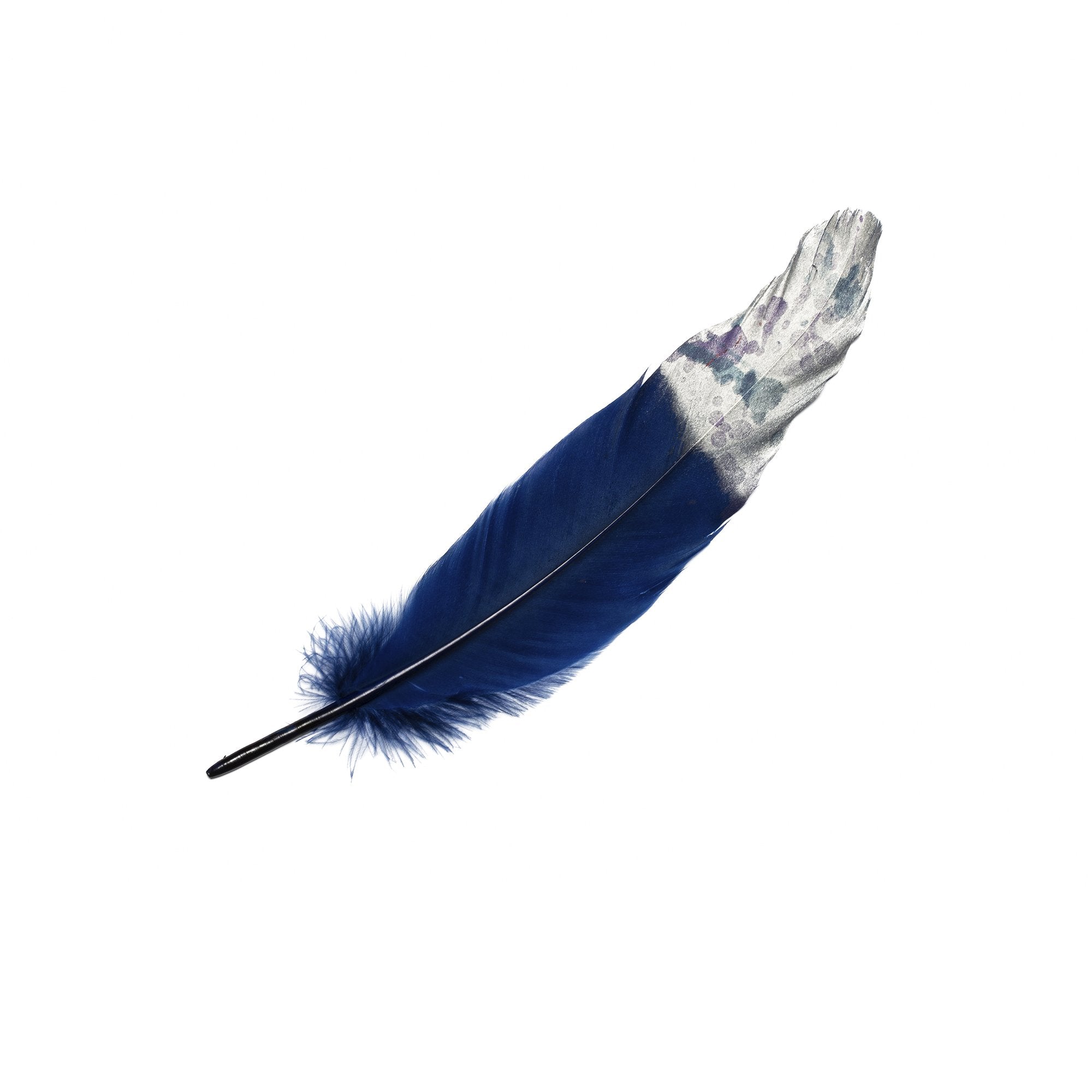 Goorin Bros. little blue feather Blue front view