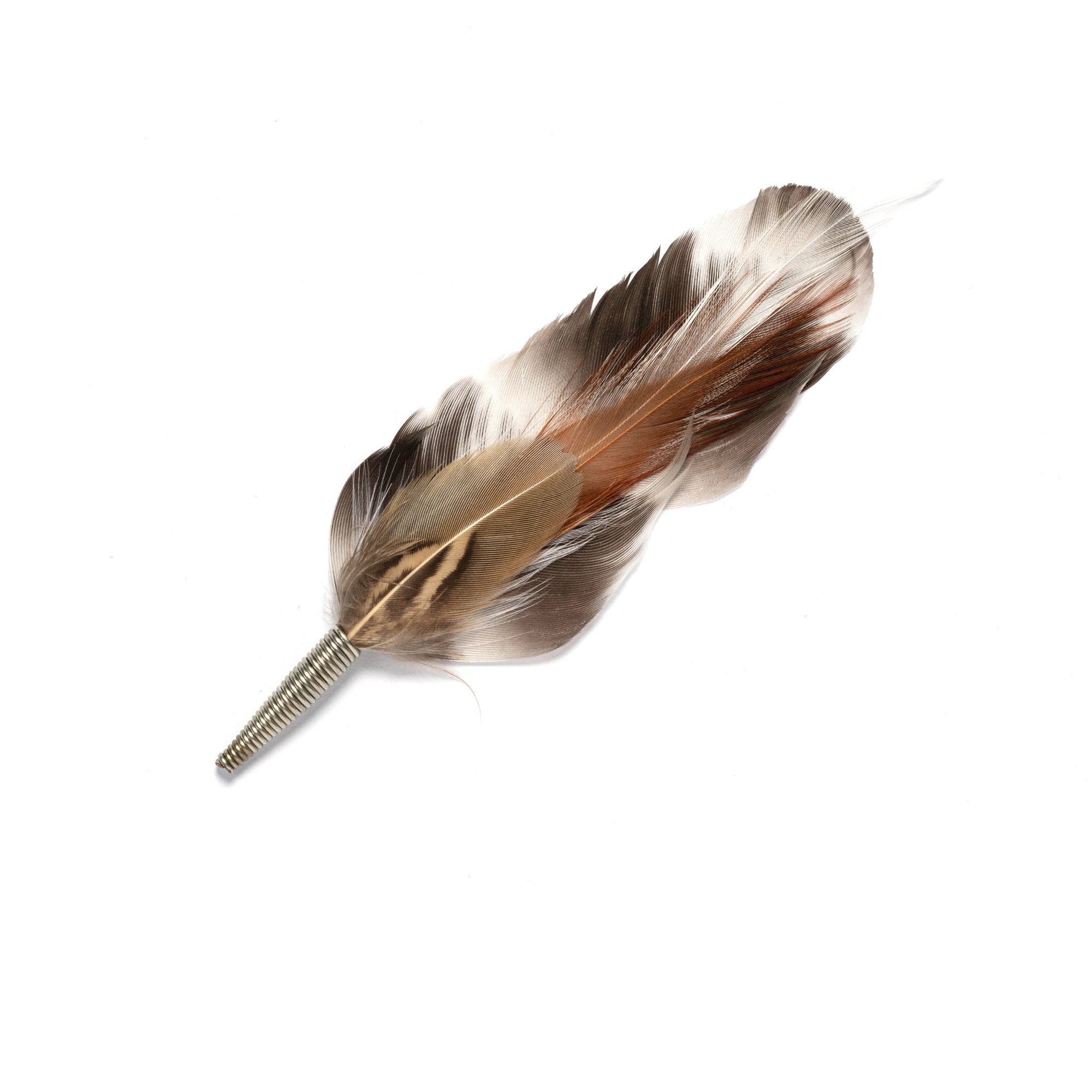 Goorin Bros. leghorn feather Grey front view