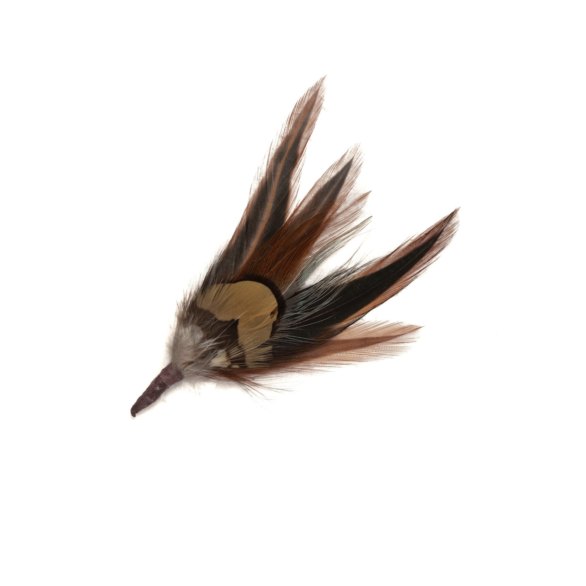 Goorin Bros. wild eye feather Grey front view
