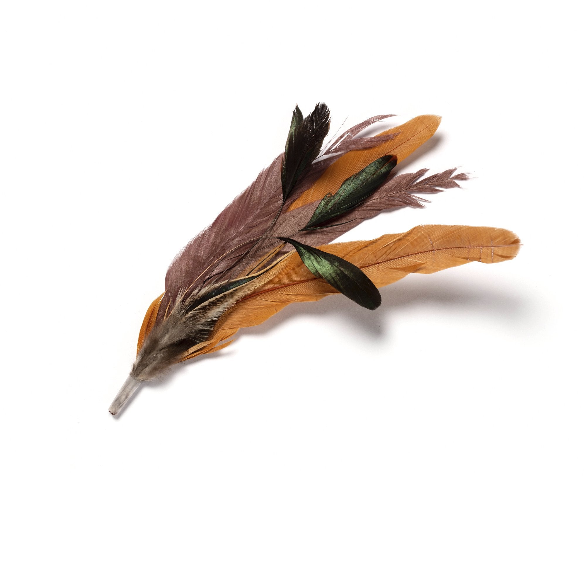 Goorin Bros. golden ratio feather Brown front view