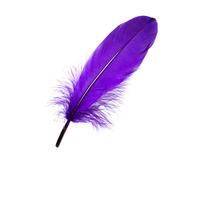 Goorin Bros. purple reign feather Purple side view