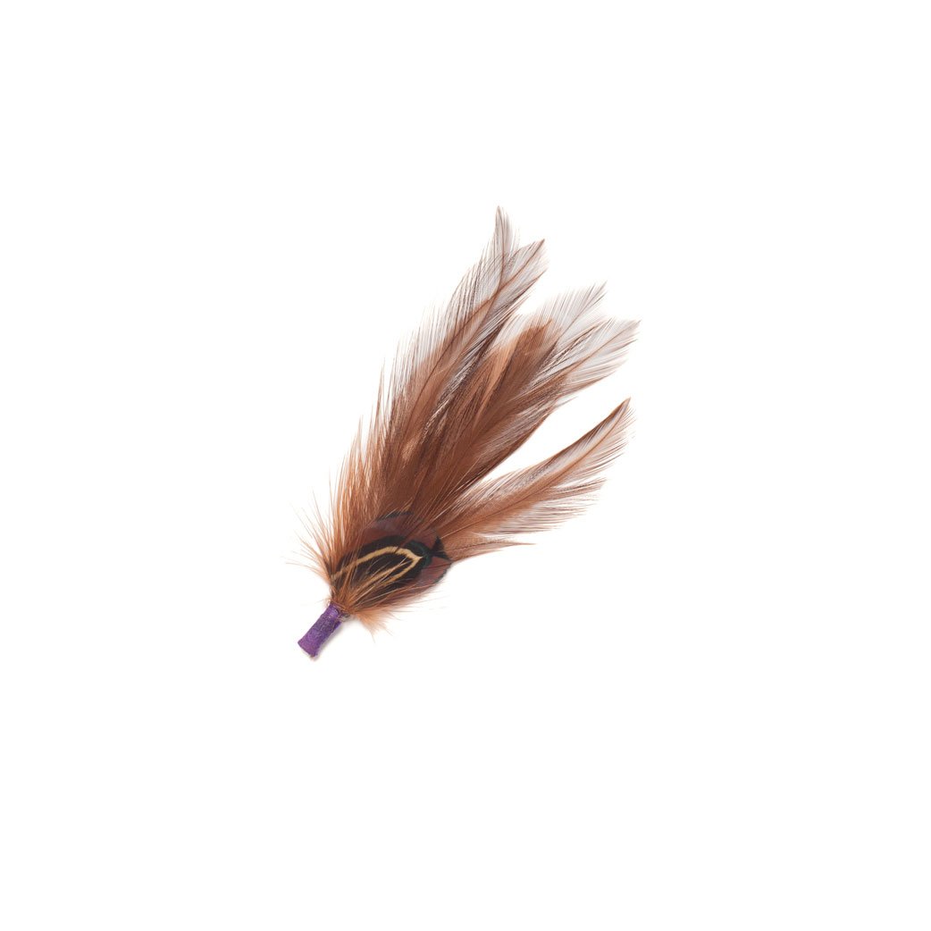 Goorin Bros. crystal cleo feather Brown front view