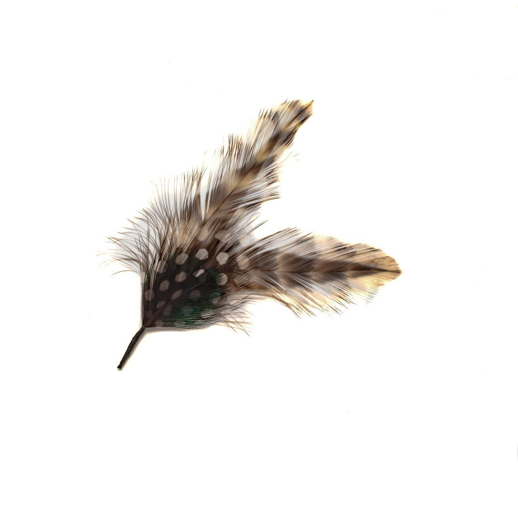 Goorin Bros. chipper kipper feather Brown front view