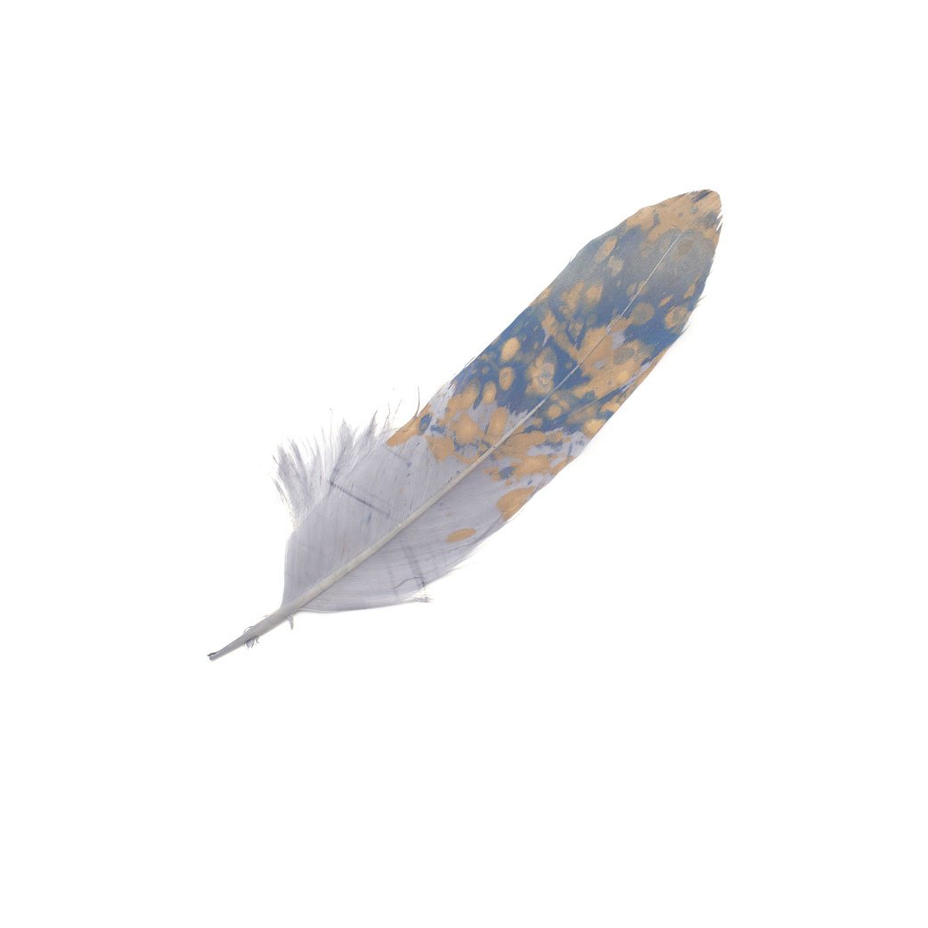 Goorin Bros. jay julius feather Blue front view