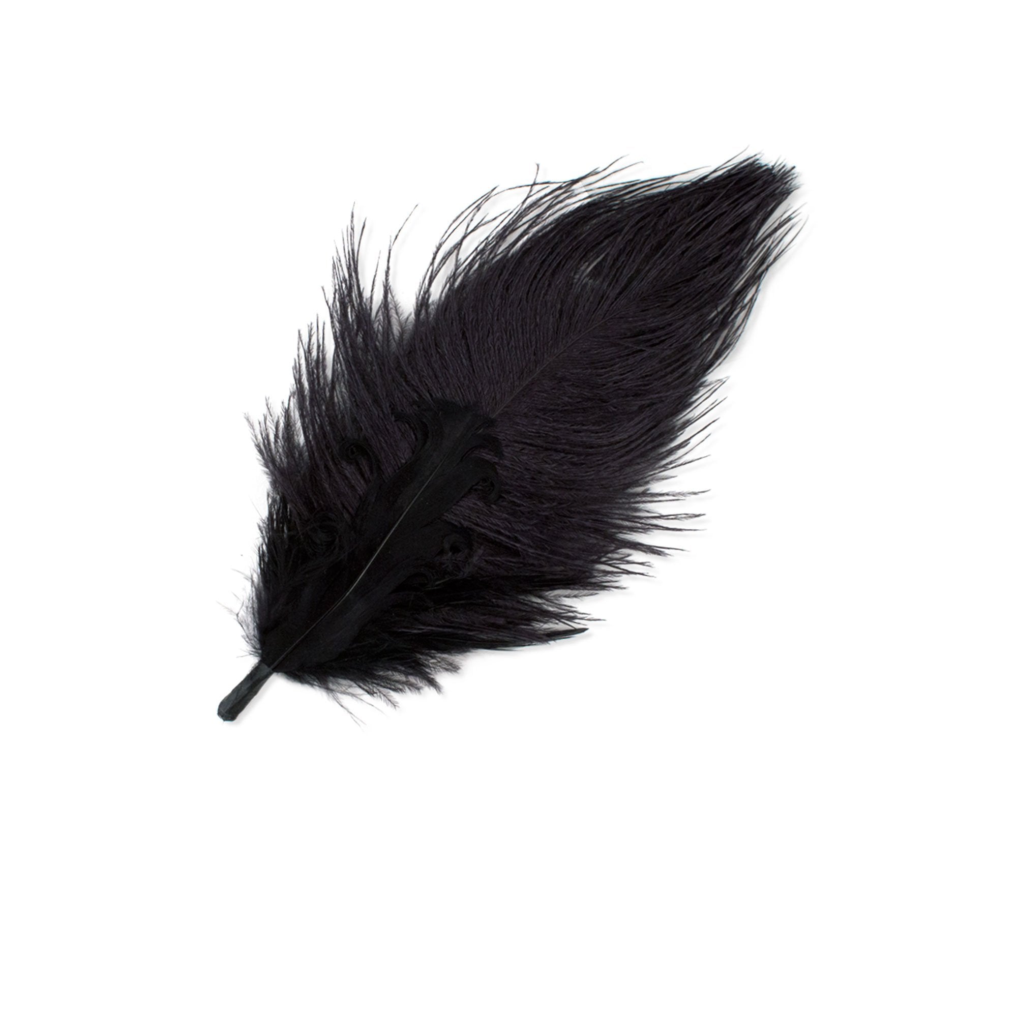 Goorin Bros. derby kitten feather feather Black left side view