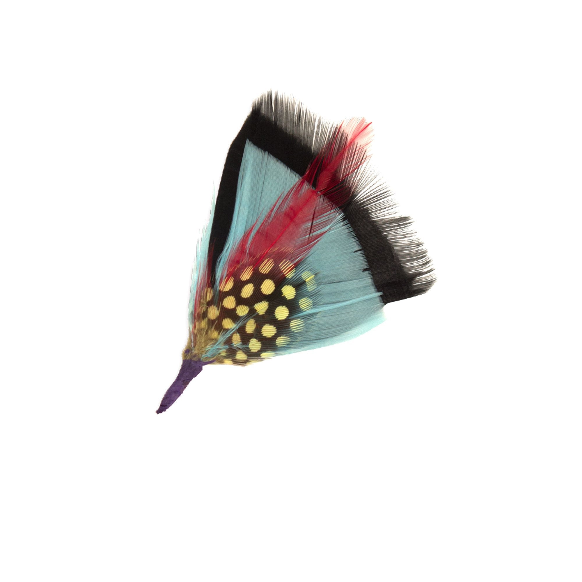 Goorin Bros. maleo feather Blue front view
