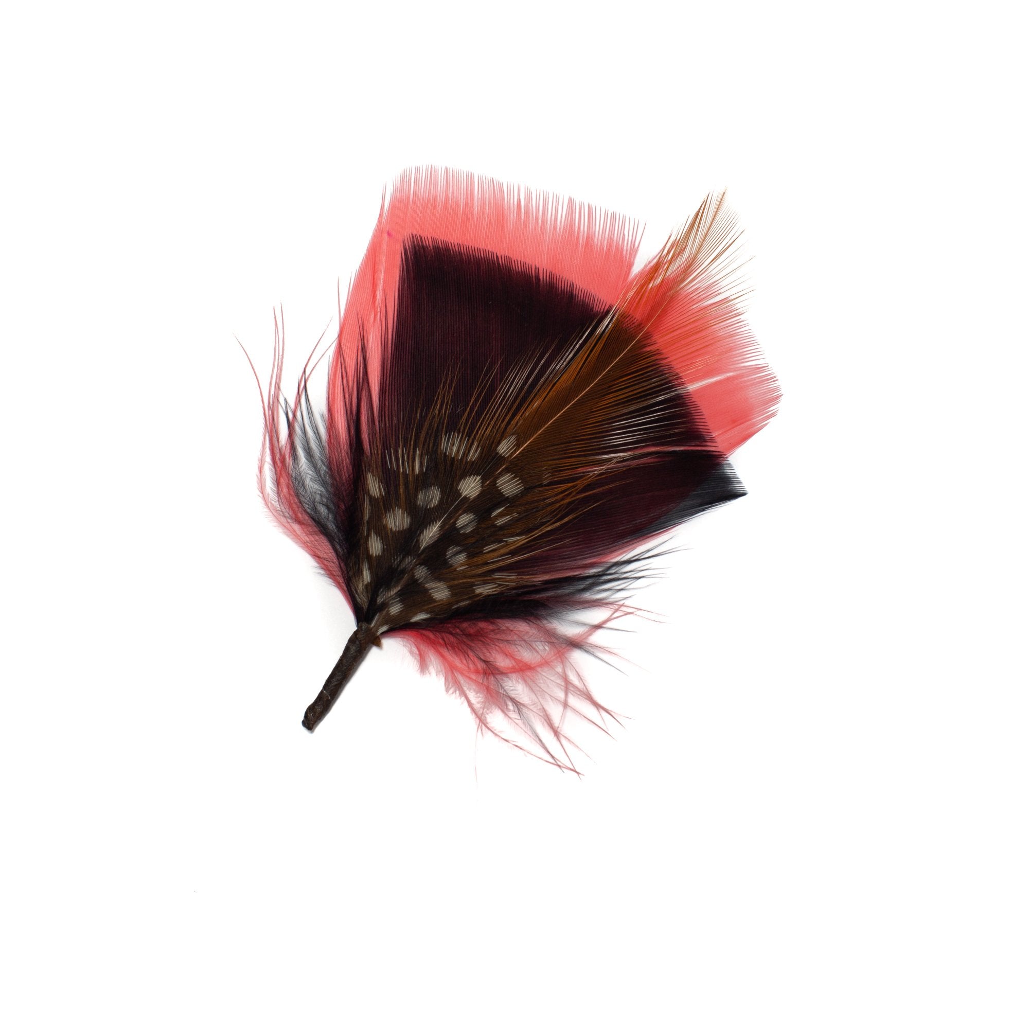 Goorin Bros. iora feather Black front view