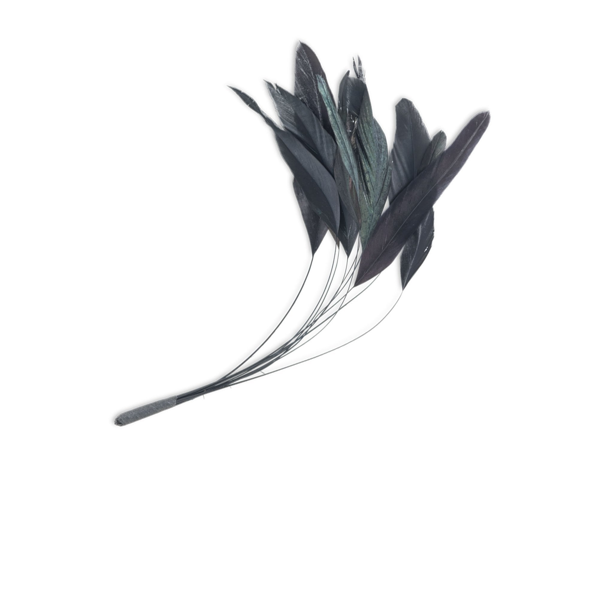 Goorin Bros. booneville feather feather Black left side view