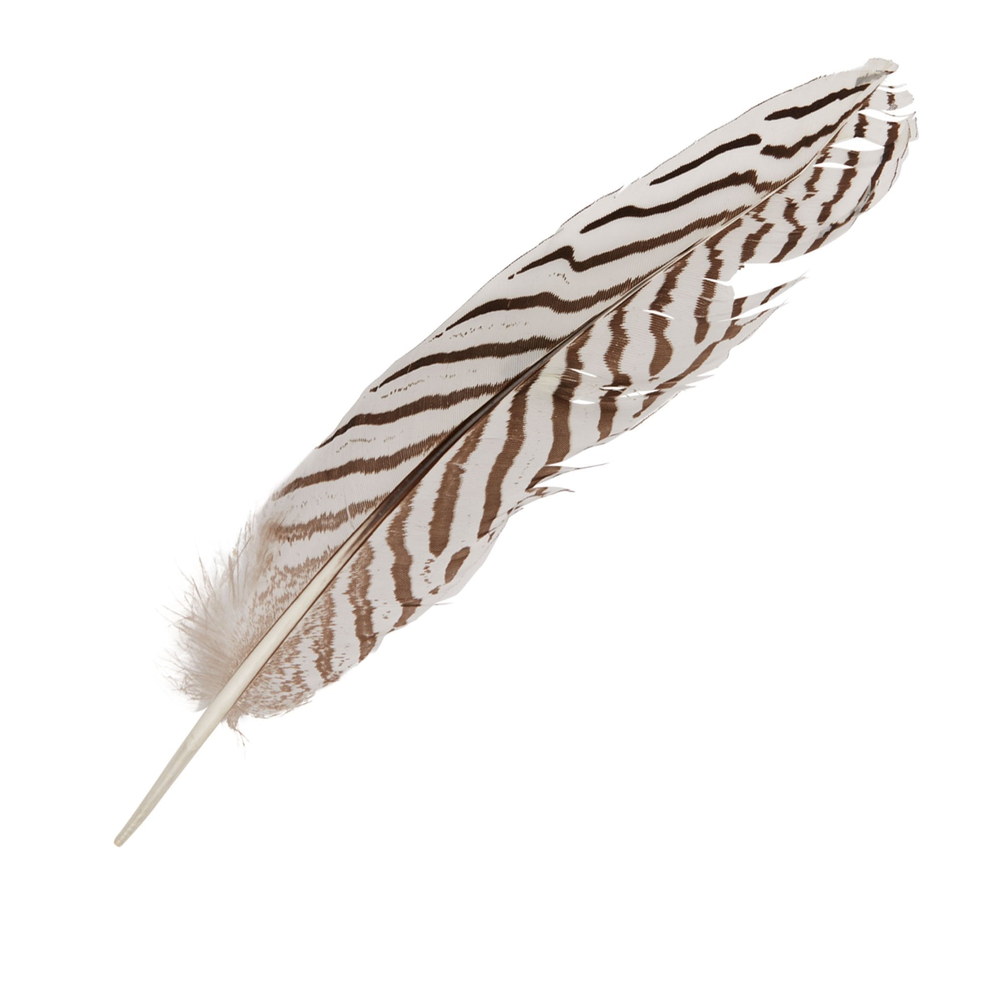 Goorin Bros. victoria derby feather White front view
