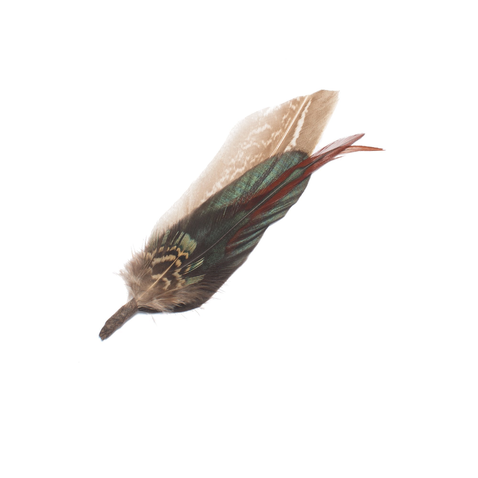 Goorin Bros. merlin feather Brown front view