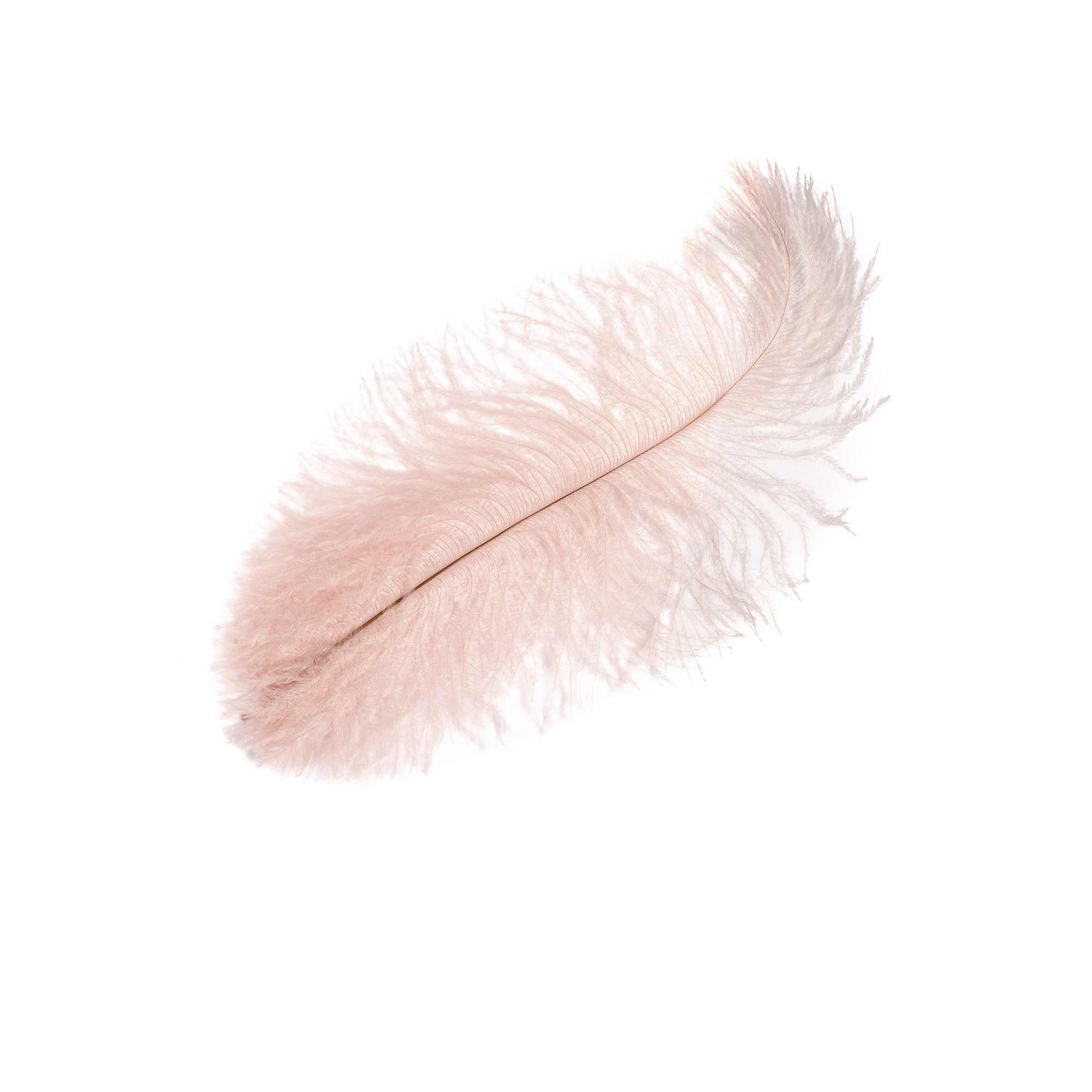 Goorin Bros. ossie feather Pink front view