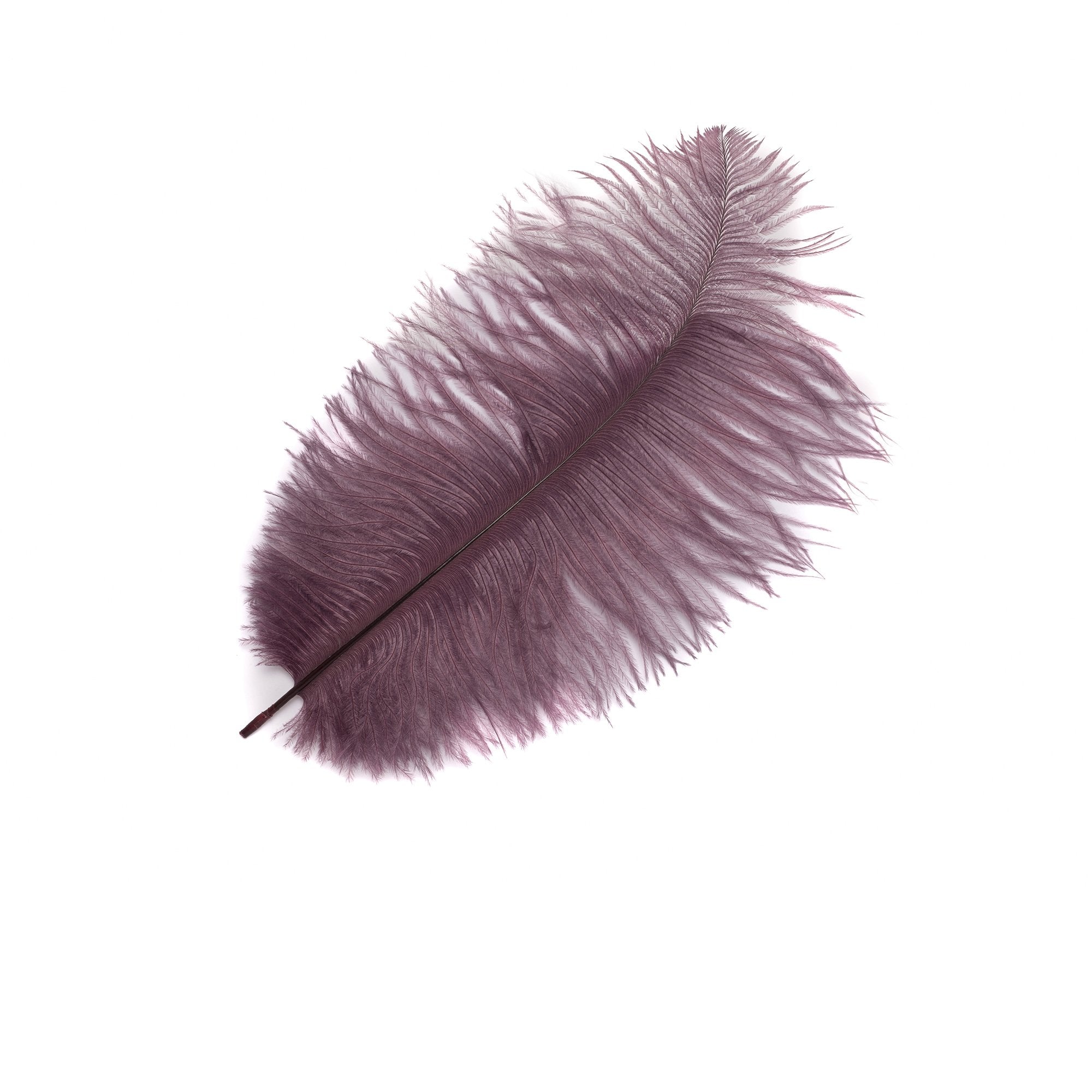 Goorin Bros. ossie feather Purple front view
