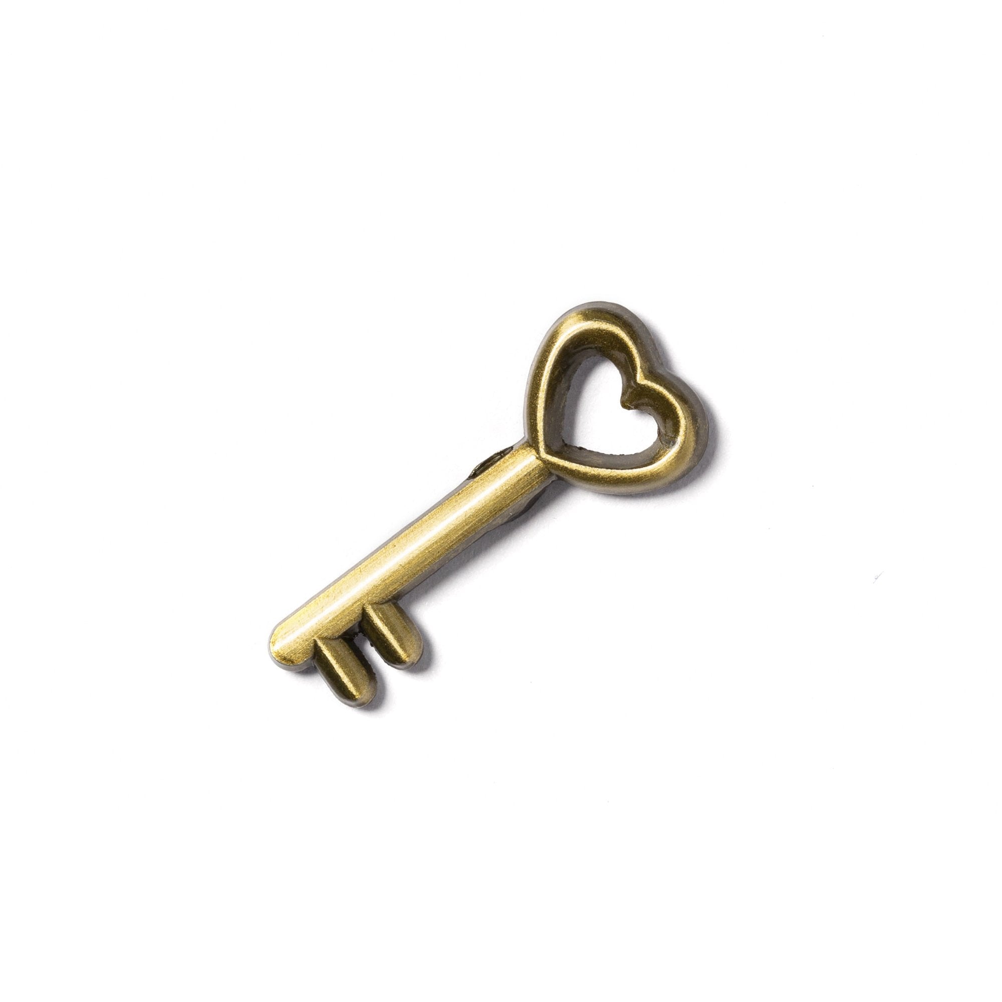 Goorin Bros. key key pin Gold front view