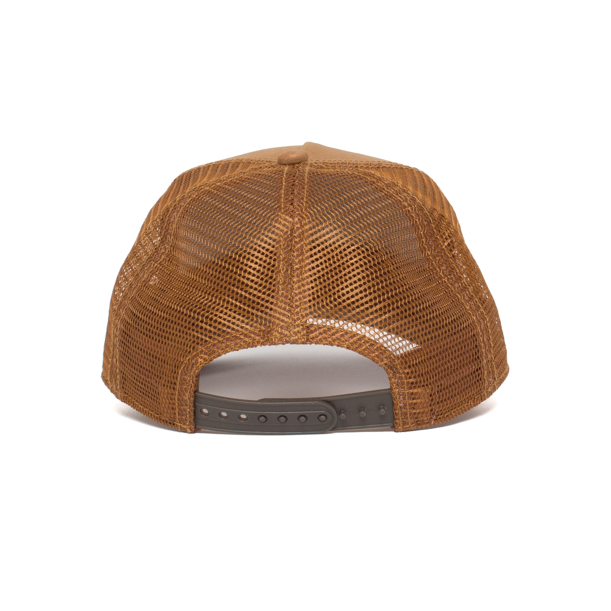 Goorin Bros. baby cub baseball cap Brown back view